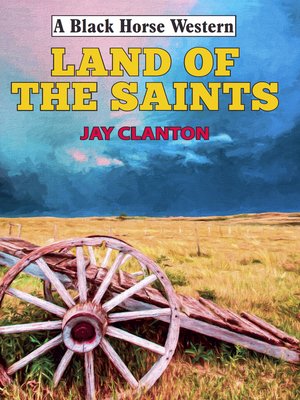cover image of Land of the Saints
